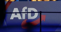 Ökonomen warnen vor AfD-Regierung