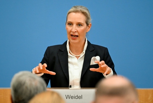 Bild vergr&ouml;&szlig;ern: AfD-Ko-Chefin Weidel: Hitler war Linksextremist