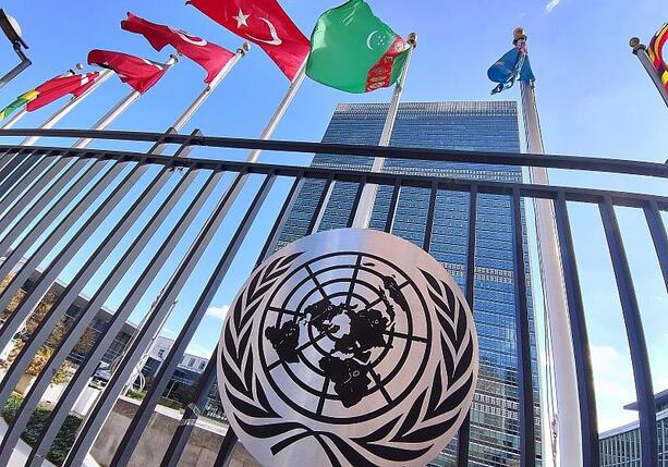 Bild vergr&ouml;&szlig;ern: Ex-UN-Botschafter fordern Reform des Sicherheitsrats