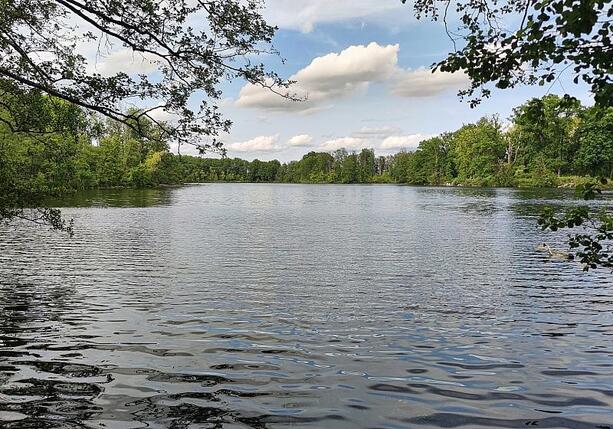 Bild vergr&ouml;&szlig;ern: DLRG verzeichnet mehr tödliche Wasserunfälle in Badesaison