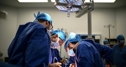 Debatte über Reform von Organspende im Bundestag begonnen