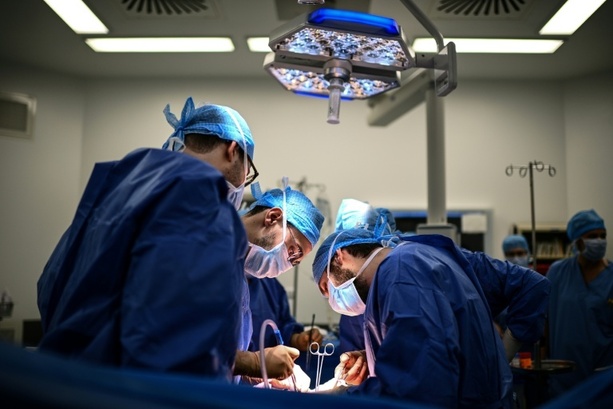 Bild vergr&ouml;&szlig;ern: Debatte über Reform von Organspende im Bundestag begonnen