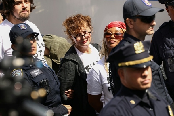Bild vergr&ouml;&szlig;ern: Hollywood-Star Susan Sarandon in New York bei israelkritischem Protest festgenommen