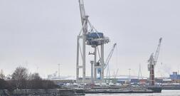 Bericht: Bund will chinesische Übernahme am Hamburger Hafen stoppen