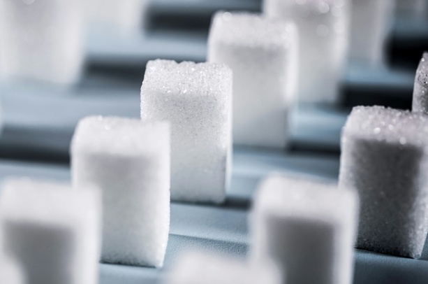 Bild vergr&ouml;&szlig;ern: Gewerkschaft ruft zur Kundgebung gegen geplante Zuckersteuer auf