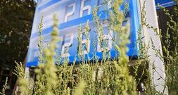 Reichinnek kritisiert Wiedereinführung des Tankrabatts