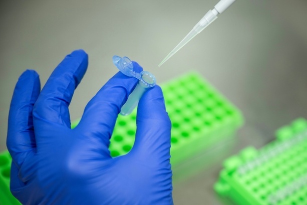 Bild vergr&ouml;&szlig;ern: Genschere Crispr: Erste reguläre Behandlung von Patient in Deutschland