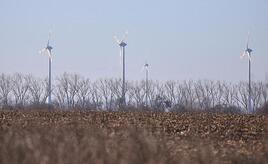 Studie: Gedeckelte Windkraft-Pachten könnten um Milliarden entlasten