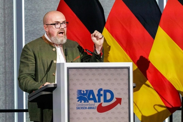 Bild vergr&ouml;&szlig;ern: Sachsen-Anhalt: AfD stellt mit Abgeordnetem Tillschneider auch Landtagsvizepräsidenten
