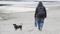 Einnahmen aus Hundesteuer stagnieren auf hohem Niveau