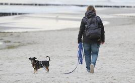 Einnahmen aus Hundesteuer stagnieren auf hohem Niveau