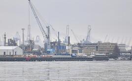 Bundesregierung untersagt Cosco-Übernahme am Hamburger Hafen