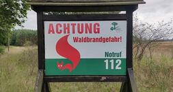 DIW: 2026 doppelt so viel Fläche verbrannt wie im Zehnjahresschnitt