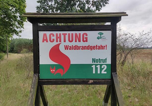 Bild vergr&ouml;&szlig;ern: DIW: 2026 doppelt so viel Fläche verbrannt wie im Zehnjahresschnitt