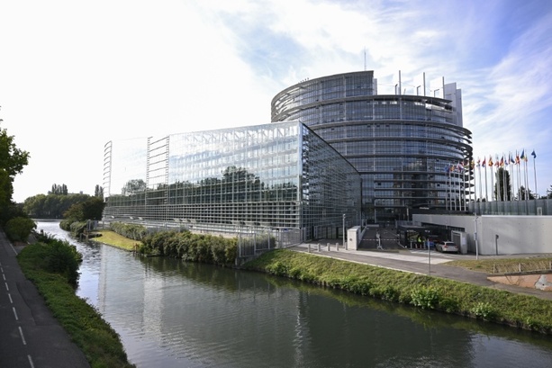 Bild vergr&ouml;&szlig;ern: Statue eines nackten Donald Trump sorgt für Aufsehen im EU-Parlament