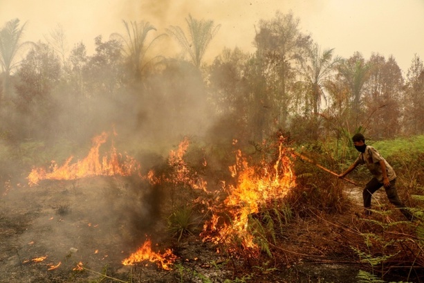 Bild vergr&ouml;&szlig;ern: Waldbrände in Indonesien: Mindestens 300 Häuser auf Sumatra zerstört