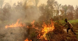 Mehr als 280.000 Fälle von Atemwegserkrankungen in Waldbrandgebieten in Indonesien