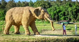 Betrunkener will 30 Kilogramm schwere Elefantenstatue aus Hotel in Mainz stehlen