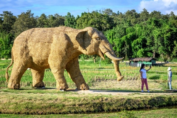 Bild vergr&ouml;&szlig;ern: Betrunkener will 30 Kilogramm schwere Elefantenstatue aus Hotel in Mainz stehlen