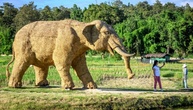 Betrunkener will 30 Kilogramm schwere Elefantenstatue aus Hotel in Mainz stehlen