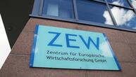 ZEW-Konjunkturerwartungen im Oktober gefallen