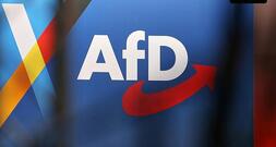 AfD prüft 24 Mailkonten nach Hackerangriff