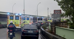 Shamonda-Virus erstmals bei Menschen entdeckt - Patient stirbt in Frankreich